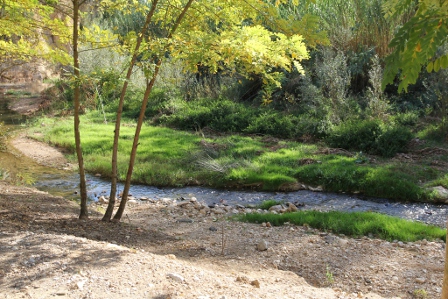 Ajt Sant Sadurní d'Anoia. Parc de les Pubilles de Torrelavit