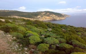 EIX. Parco Regionale di Porto Conte