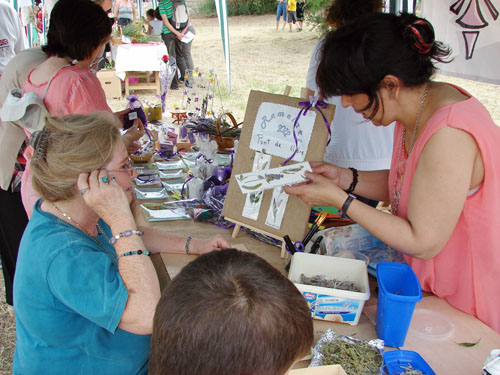 Remeiart 2012 (2)