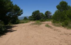 Retirades unes 300 tones de residus d'un espai natural al Vendrell