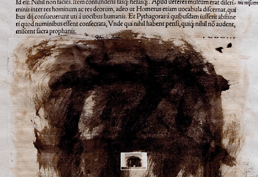 © Joan Fontcuberta. Text censurat d'Erasme de Rotterdam, publicat a Basilea el 1541 