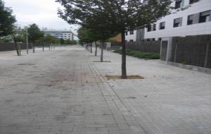 Ajuntament de Vilafranca. Transplantament de pereres de la Girada