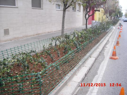 Ajuntament de Vilafranca. Vilafranca renova lenjardinament del carrer de Moja