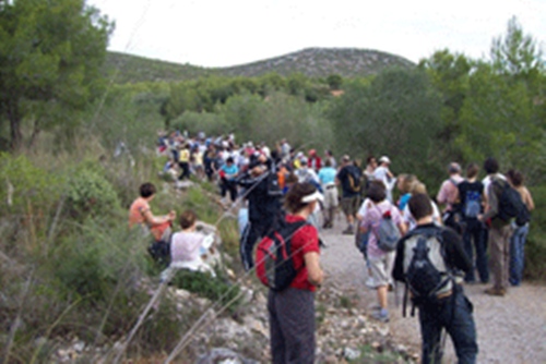 webIMG_CAMINADA-POPULAR-250