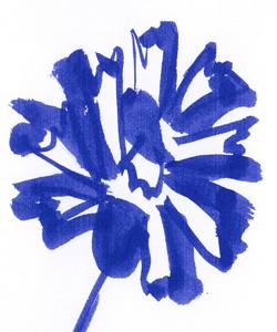 webIMG_CORPUS250