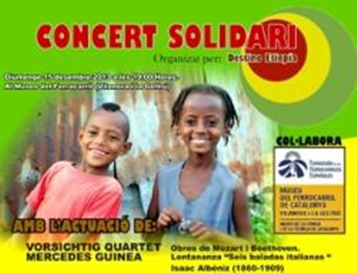 webIMG_DESTINOETIOPIA2013121501CAT