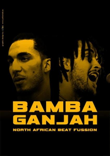 webIMG_MUSICA-DIRECTE-TERRAMAR-250