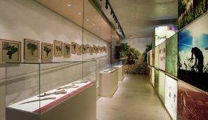 webIMG_VInseum expo nova