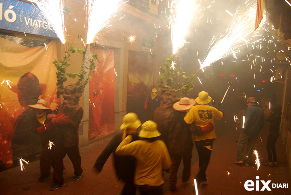 Ceps. Festa de la Fil·loxera, Sant Sadurní 2014