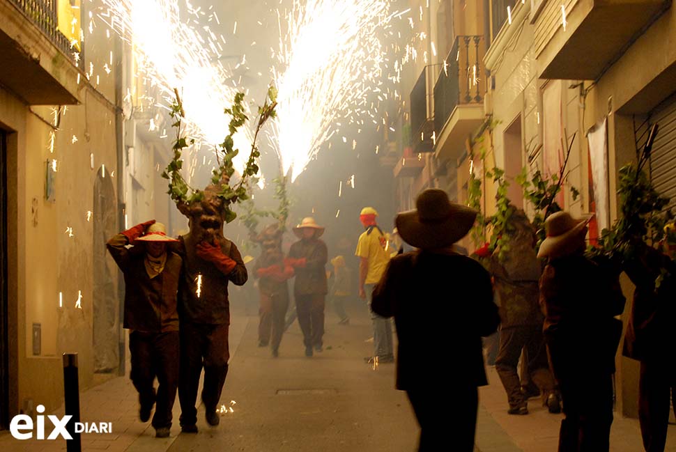 Ceps. Festa de la Fil·loxera, Sant Sadurní 2014