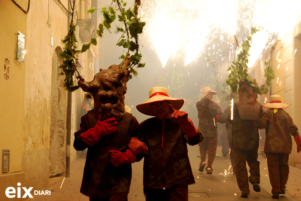 Ceps. Festa de la Fil·loxera, Sant Sadurní 2014