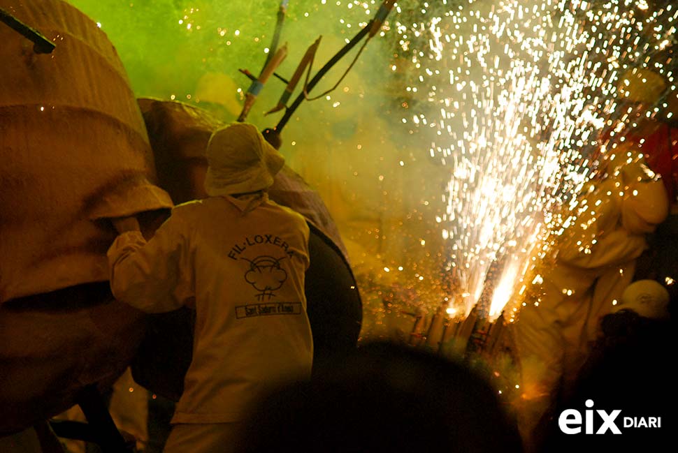 Fil·loxera . Festa de la Fil·loxera, Sant Sadurní 2014