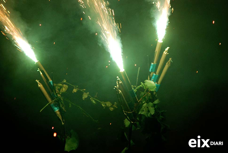 Ceps. Festa de la Fil·loxera, Sant Sadurní 2014