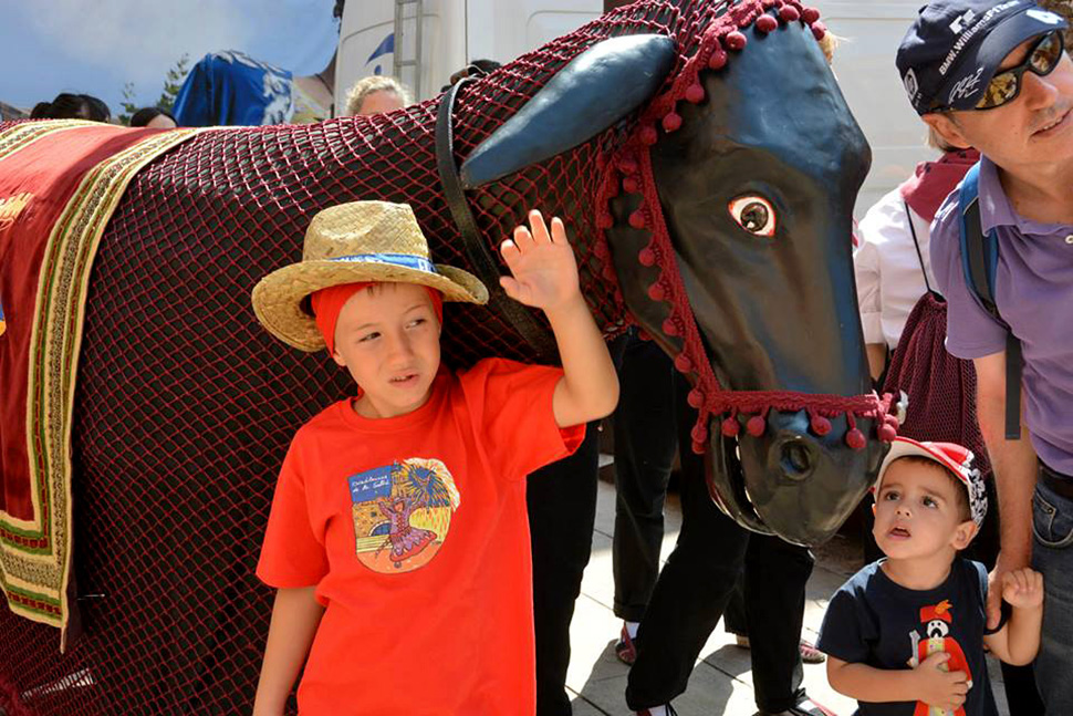 Mulassa. Festa Major Vilanova i la Geltrú 2014