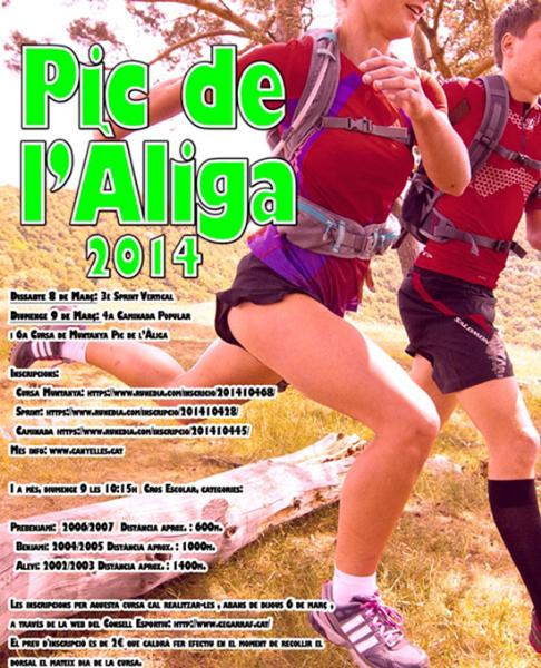 Eix. 6a Cursa de Muntanya Pic de lÀliga