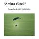 Exposici%c3%b3+d%27imatges+a%c3%a8ries+%22A+vista+d%27ocell%22