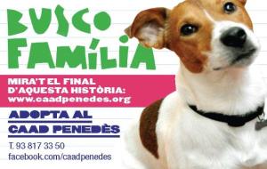 EIX. Adopta al CAAD Penedès