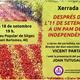 Xerrada+%22Despr%c3%a9s+de+l%2711+de+setembre.+A+un+pas+de+la+Independ%c3%a8ncia%22