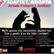 3%c2%aa+Jornada+d%27Adopci%c3%b3+de+Gossos+a+Jardiland