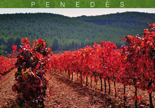 3a Passejada Postals del Penedès