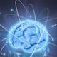Confer%c3%a8ncia+sobre+neuroci%c3%a8ncia+aplicada+al+m%c3%a0rqueting+i+a+la+comunicaci%c3%b3