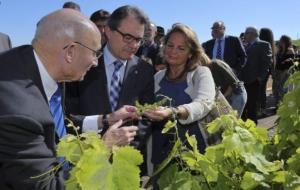 Generalitat de Catalunya. Artur Mas, a la inauguració del nou centre de visites de Caves Llopart