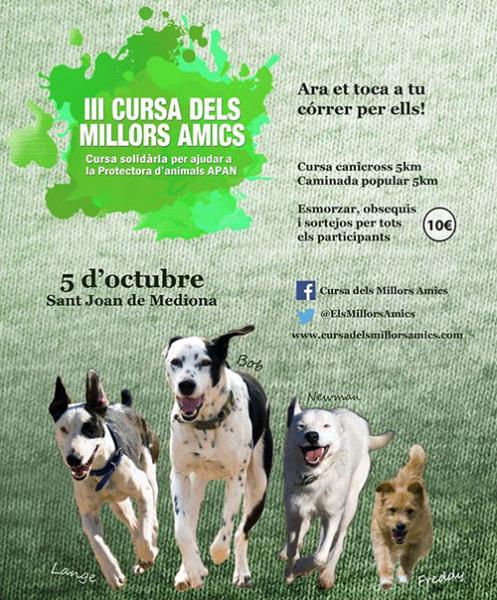 Eix. Cartell de la cursa