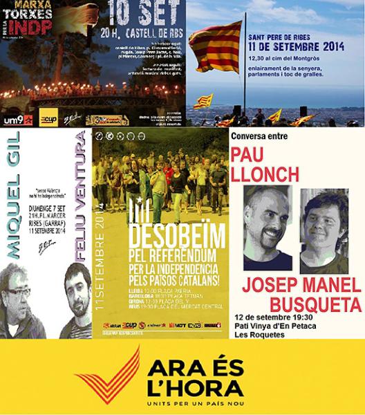 UM9. Cartell de la Diada