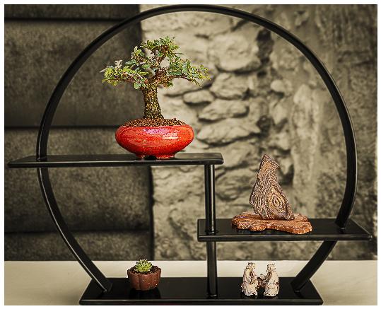 Antonio Pérez. Composición. 1er. Concurs Fotogràfic Retrata un Bonsai  Retrata un Suiseki 