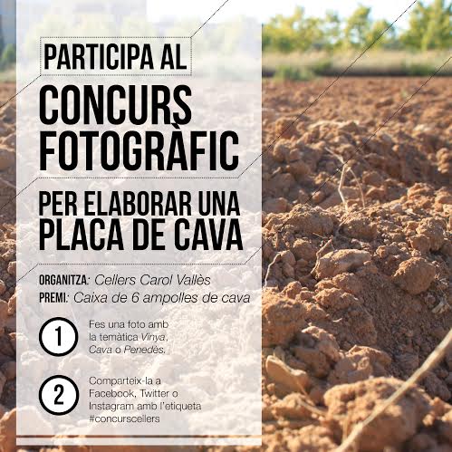 Eix. Concurs fotogràfic Cellers Carol Vallès