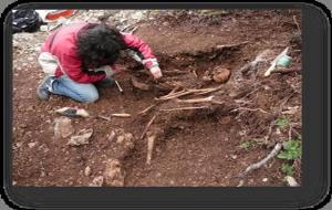 Confirmen l'existència de dues fosses comunes de la Guerra Civil al Penedès