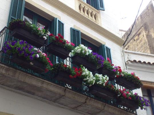 Ajuntament de Sitges. Corpus a SItges
