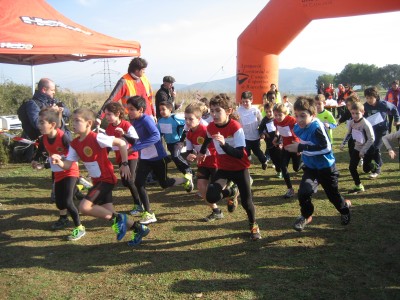 Ajuntament d'Olèrdola. Cros escolar de Moja