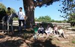 Adrià Gala. El centre hípic Rosper ofereix activitats i cursos amb cavalls a preus assequibles