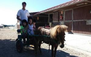 El centre hípic Rosper ofereix activitats i cursos amb cavalls a preus assequibles