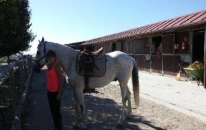 El centre hípic Rosper ofereix activitats i cursos amb cavalls a preus assequibles