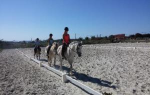 El centre hípic Rosper ofereix activitats i cursos amb cavalls a preus assequibles