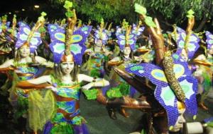 Ajuntament d'Olèrdola. El grup de Carnaval de Moja durant una rua l'any passat