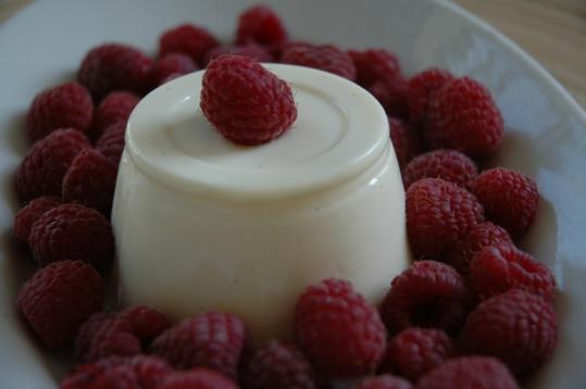 AMIC. El iogurt, un aliment digerible i nutritiu