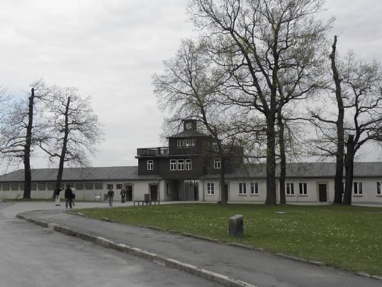 EIX. El projecte Buchenwald 