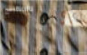 El projecte Buchenwald 