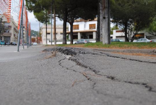 Ajt Sant Pere de Ribes. Els arrels dels pins obliguen a estrènyer un carrer a Ribes