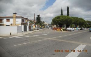 Els arrels dels pins obliguen a estrènyer un carrer a Ribes