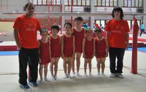 Eix. Els gimnastes de la Pasifae