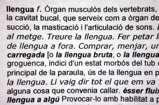 EIX. Entrada al diccionari de llengua catalana
