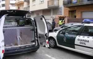 Es comissen 325 plantes de marihuana en un bloc dhabitatges del Vendrell