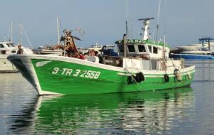 Estrena del Drac Galera de Foc de Cambrils