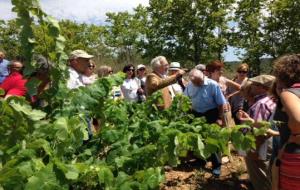 Ajuntament de Cunit. Èxit de la Segona Xarel.lada al Penedès Marítim