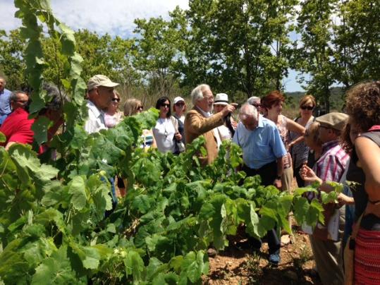 Ajuntament de Cunit. Èxit de la Segona Xarel.lada al Penedès Marítim
