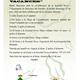 Festa+Solidaria+a+Banyeres